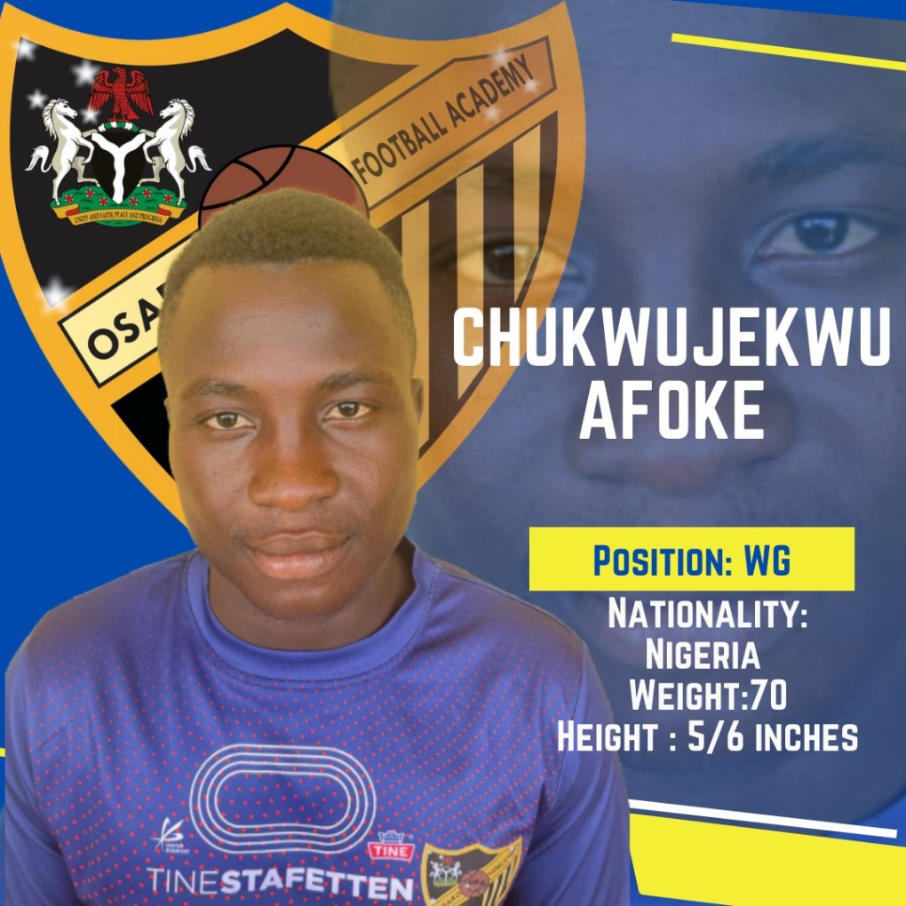 CHUKWUJEKWU AFOKE