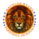 Lion logo representing Bayerlsa Stars Football Academy, emphasizing youth sports, soccer training, and athletic development.